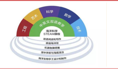 关于未来成长路线：青训体系的国内外差异及未来趋势的信息