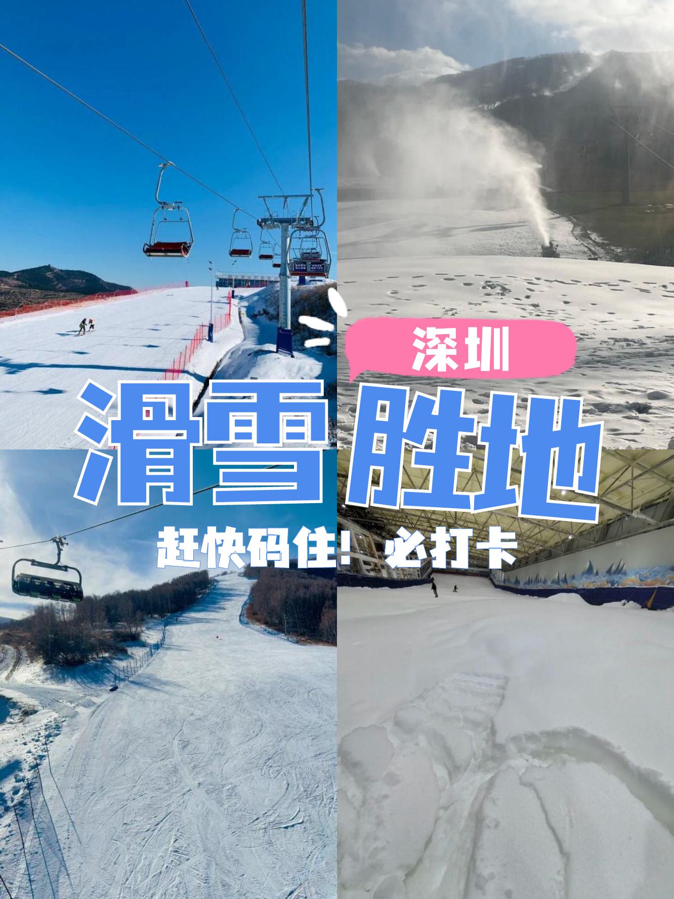 冬季雪域滑雪王者争霸，雪地上的速度与耐力的简单介绍