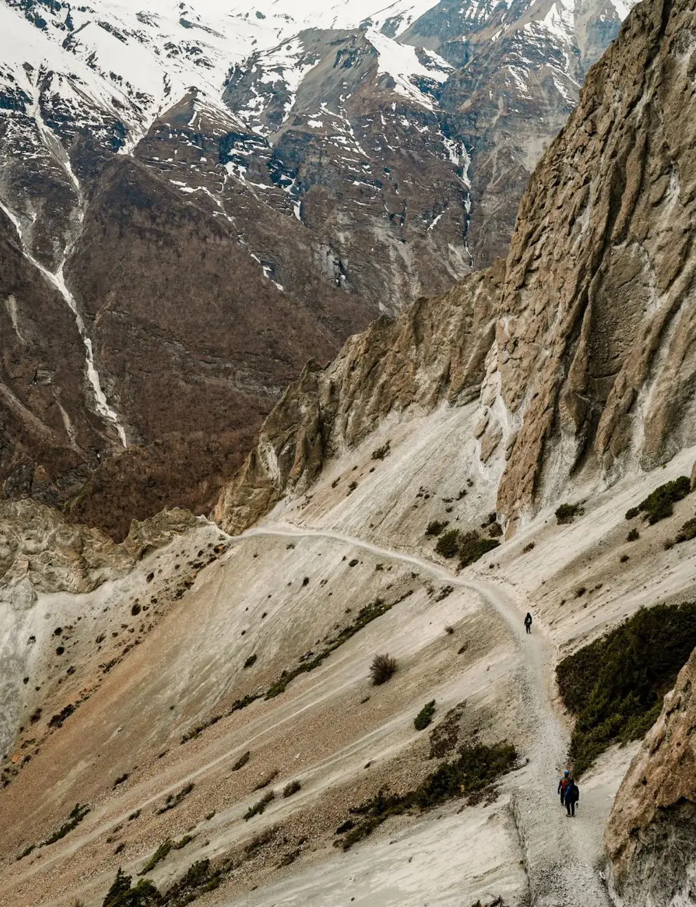 高山徒步环线赛，探索最壮丽的自然风光