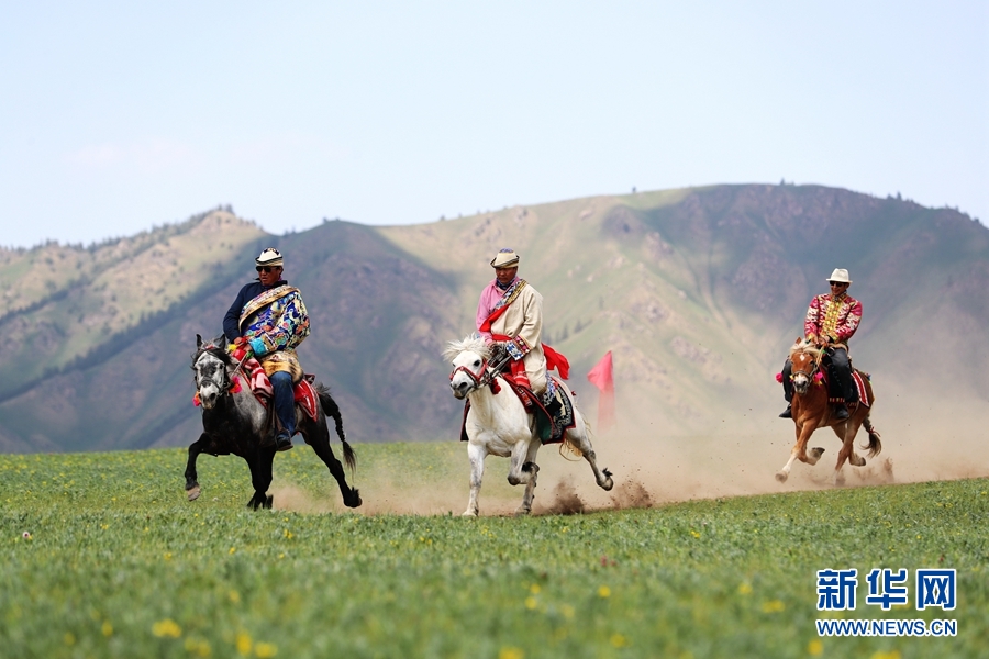 关于特色山地骑马赛，穿越草原的速度与激情的信息