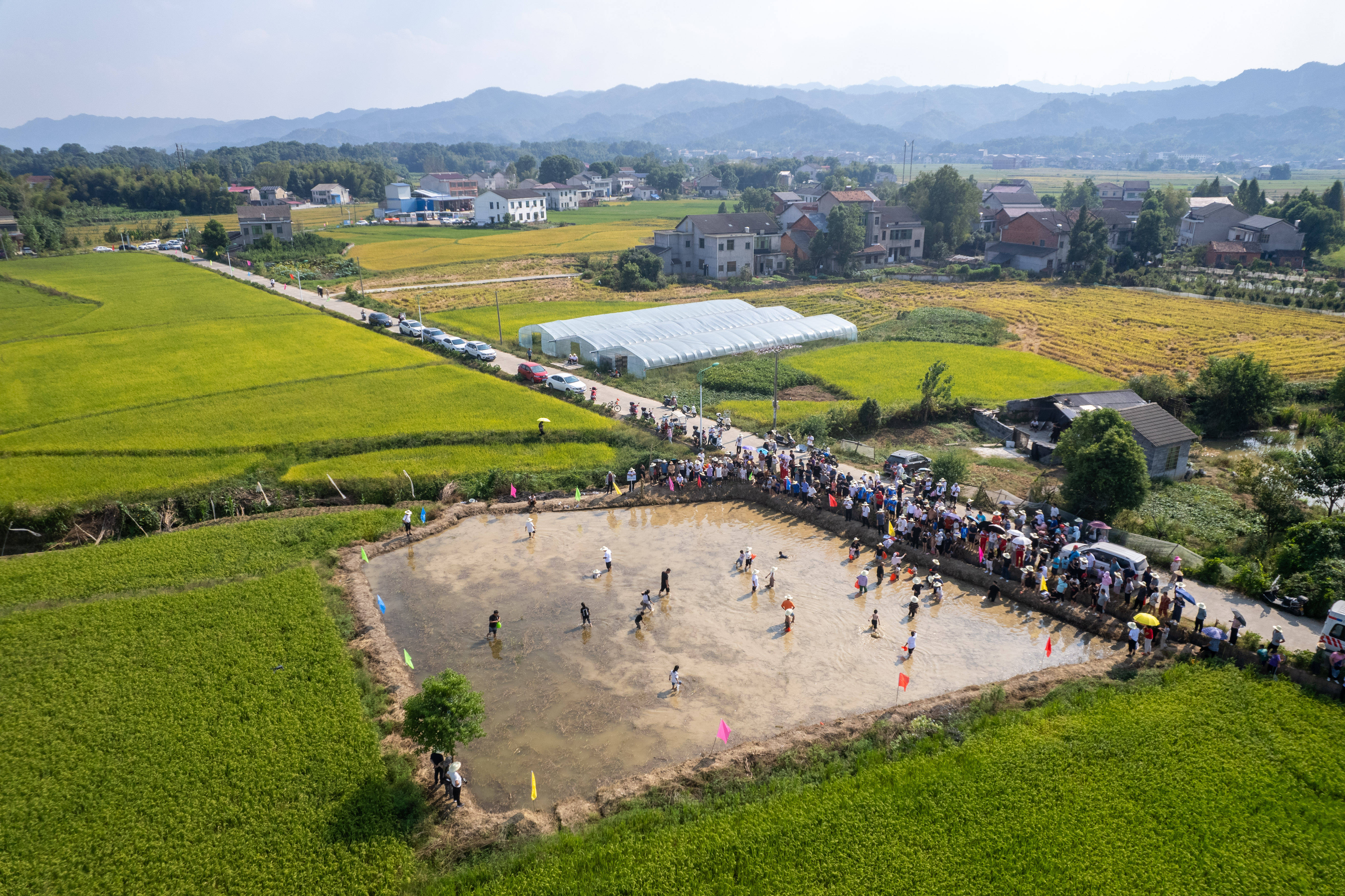 乡村划船运动会：乡土文化新亮点的简单介绍