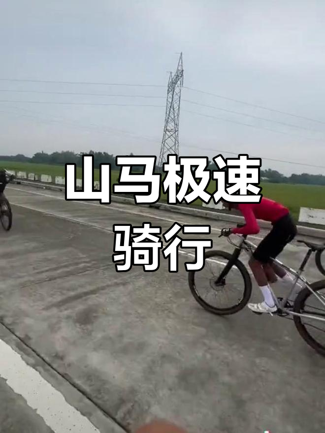 山地自行车极速赛，感受风驰电掣的快感的简单介绍