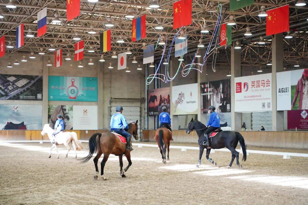 特色农场马术活动，传承传统骑乘文化