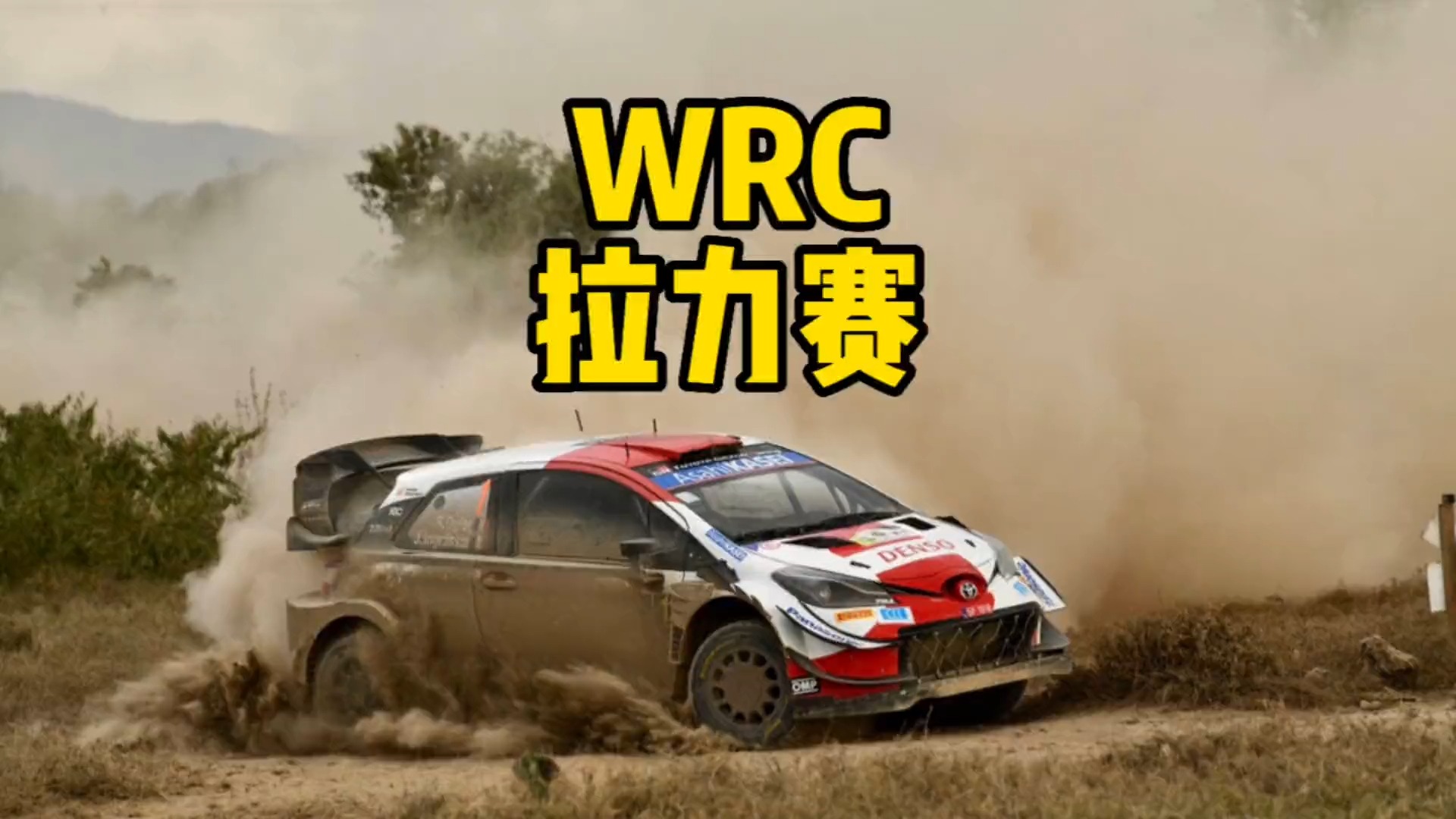 荣耀时刻：历史上最震撼WRC冠军瞬间合集的简单介绍