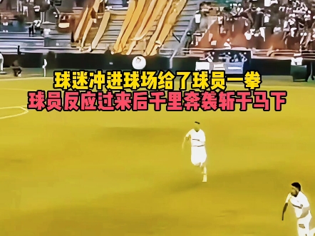 球场记忆：球迷心中不可磨灭的经典瞬间的简单介绍