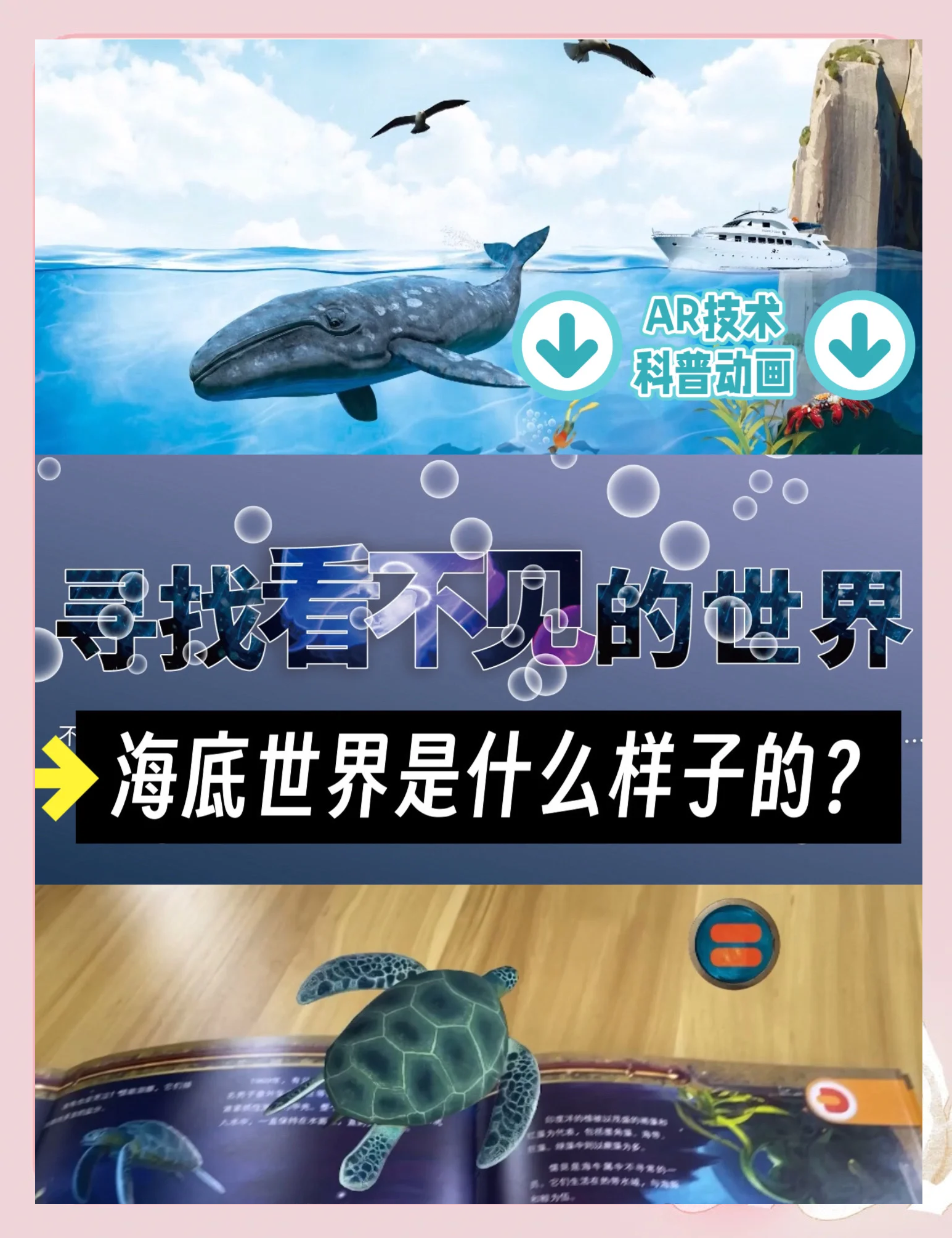 海底水下寻宝大赛，神秘宝藏等你探索的简单介绍
