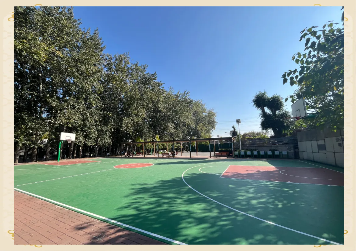 包含城市社区篮球场分布不断优化，推动全民健身普及化的词条