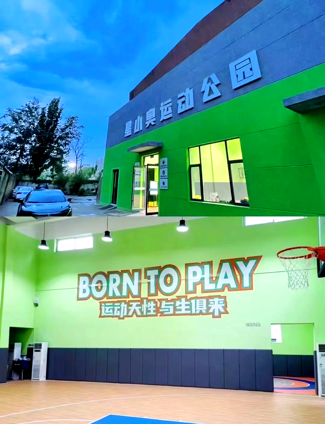 青少年篮球营地打造“绿色生态”，实现可持续发展的简单介绍