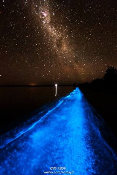 特色夜光漂流，黑暗中的水上极速漂流