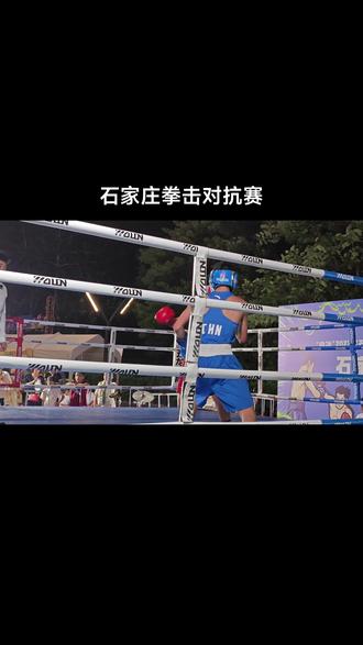 国际拳击赛：拳拳到肉的较量的简单介绍