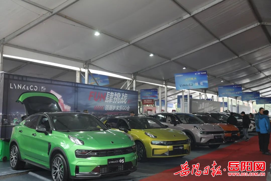 包含场外狂欢：车迷盛会与文化展演的词条