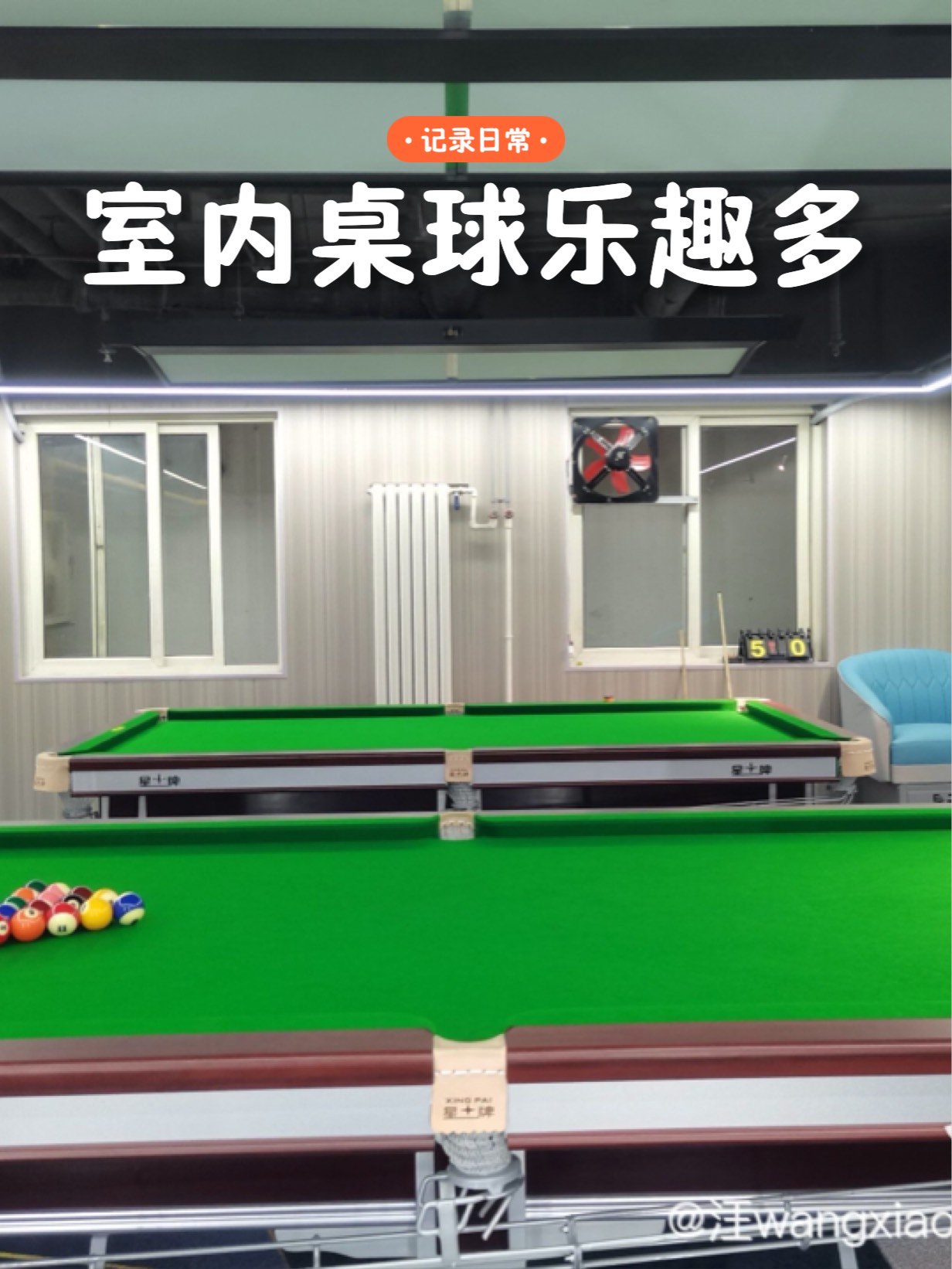 台球运动的环保理念：赛事使用绿色材料