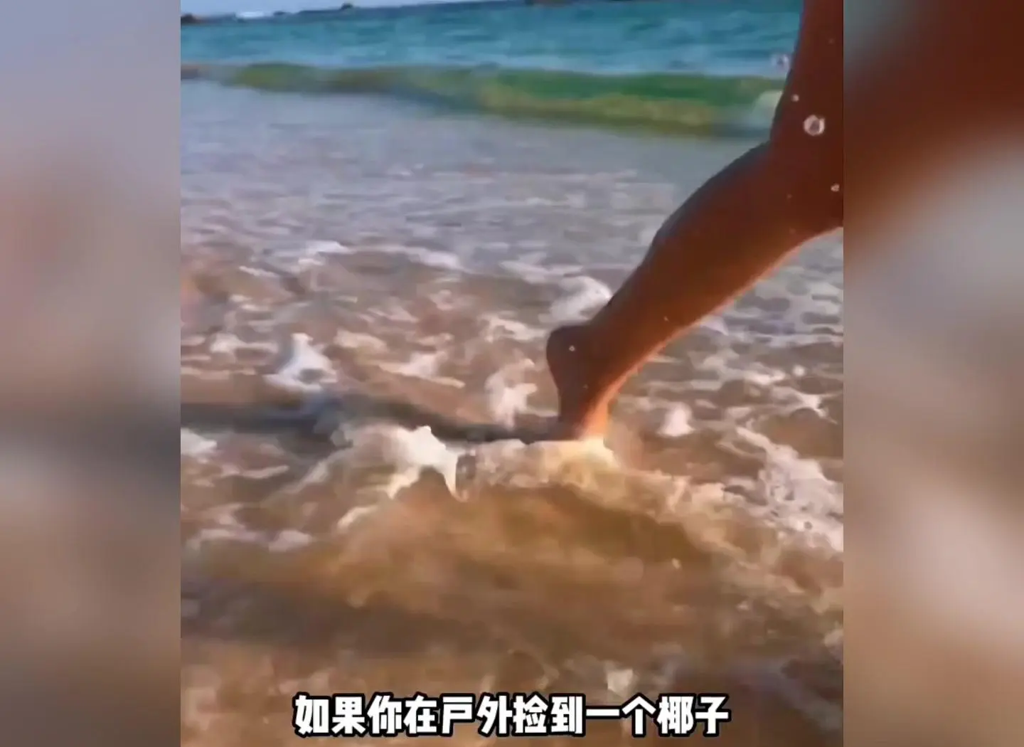 “野外生存：荒野中的速度与勇气”