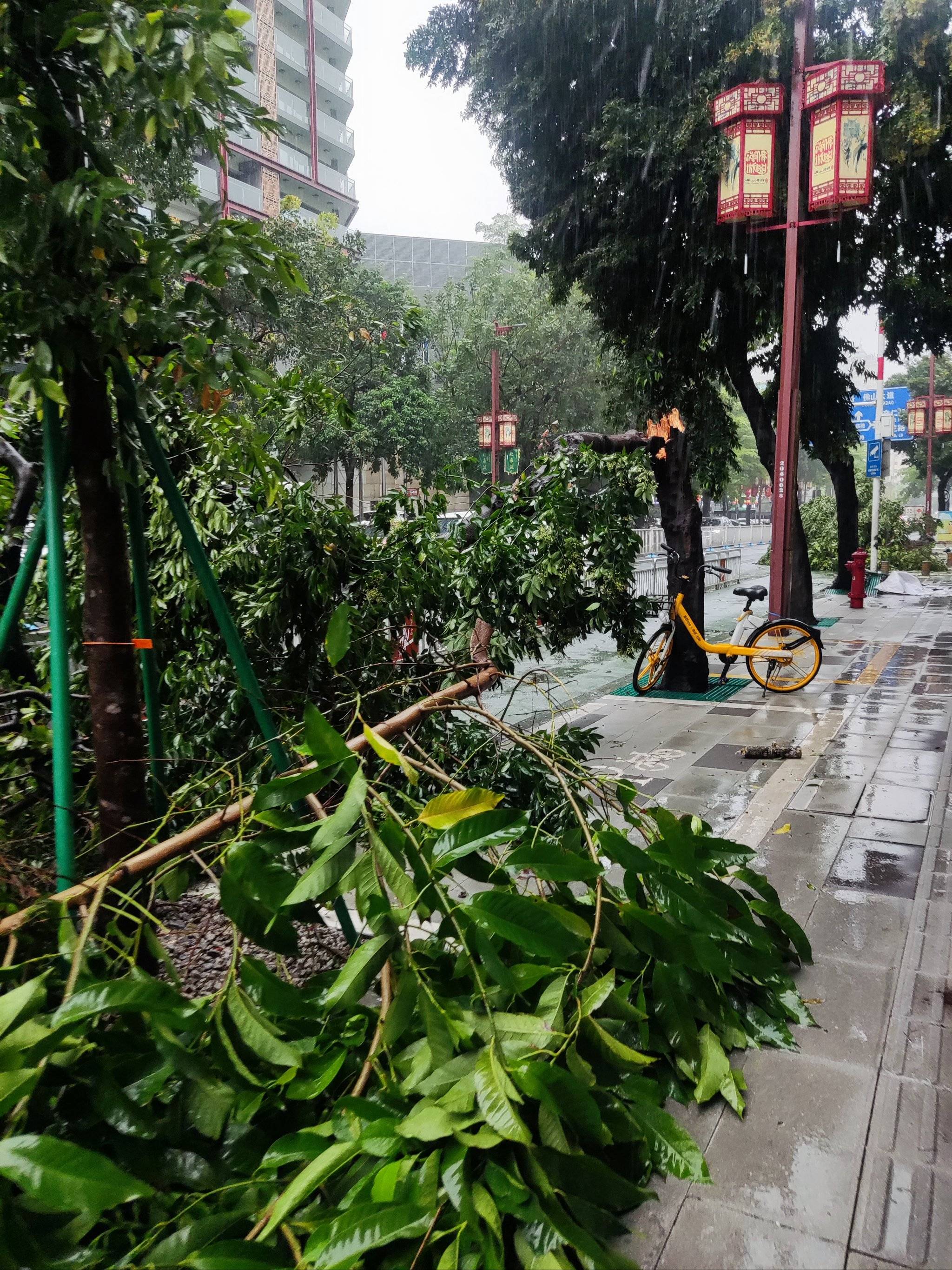 极端天气应对策略：雨、雪、风中的精彩比拼的简单介绍