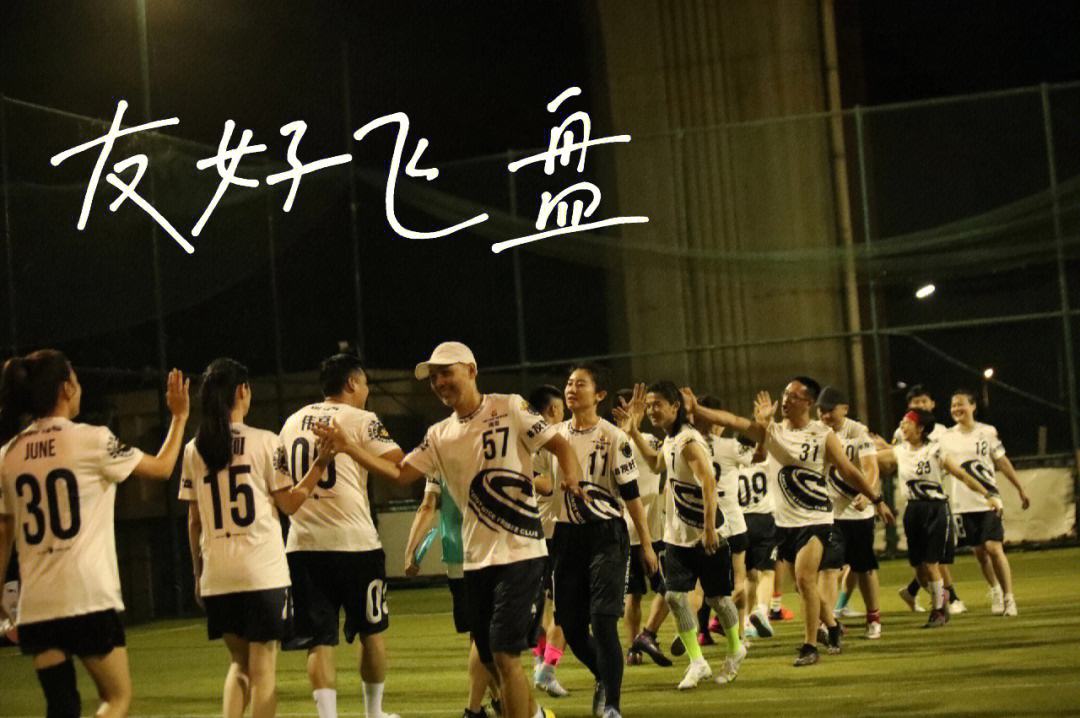 全国极限飞盘精英赛，团队默契的极限考验的简单介绍