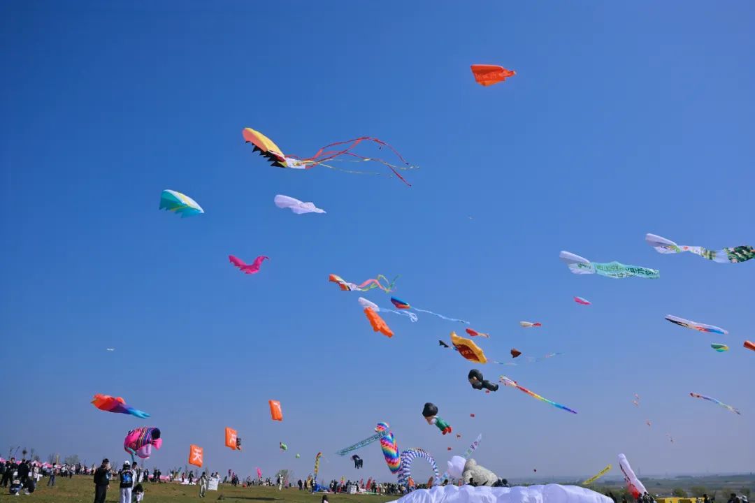 大型海上风筝比赛，天空中的运动盛典