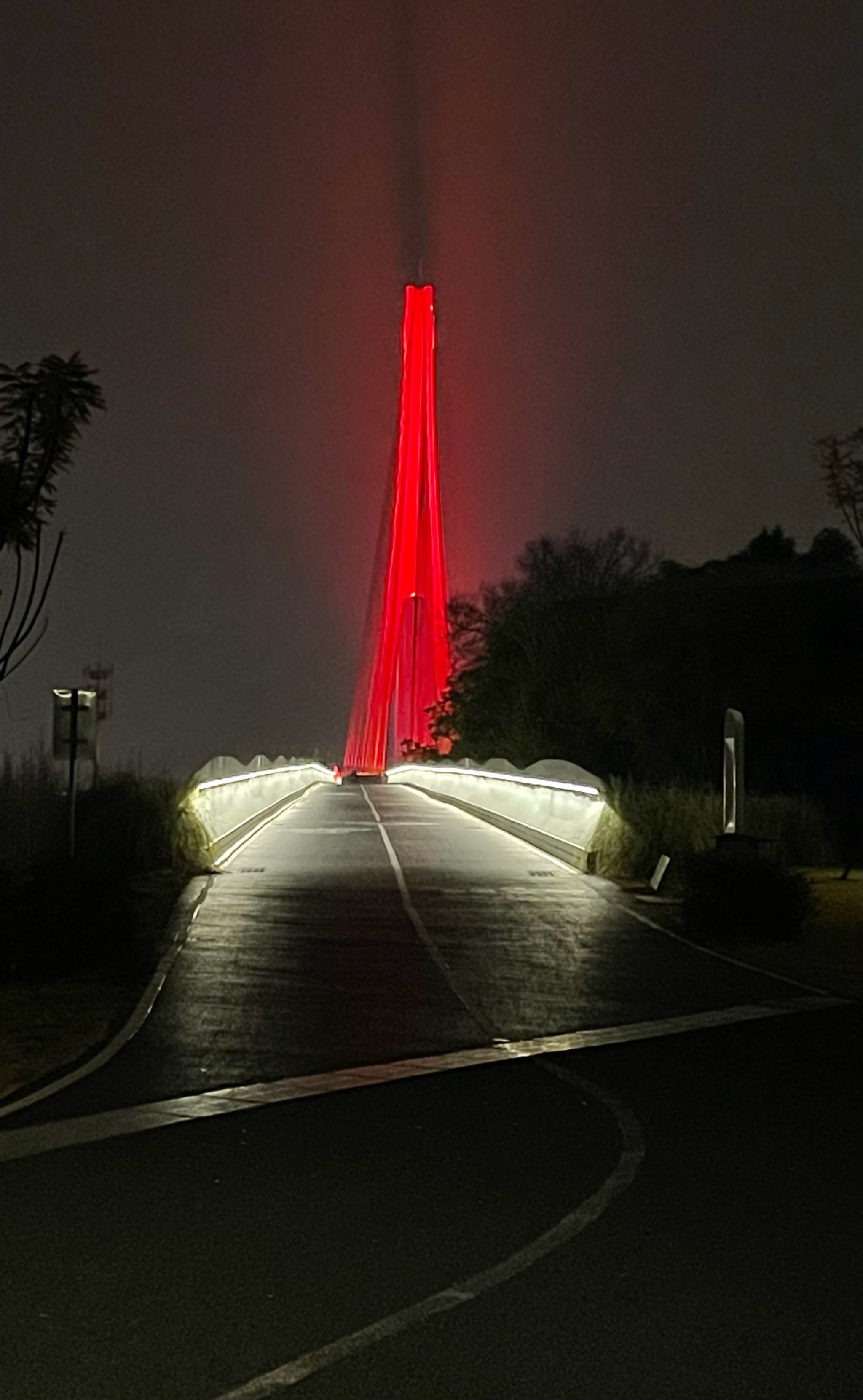 包含夜间骑行灯光赛，体验城市夜色的运动魅力的词条