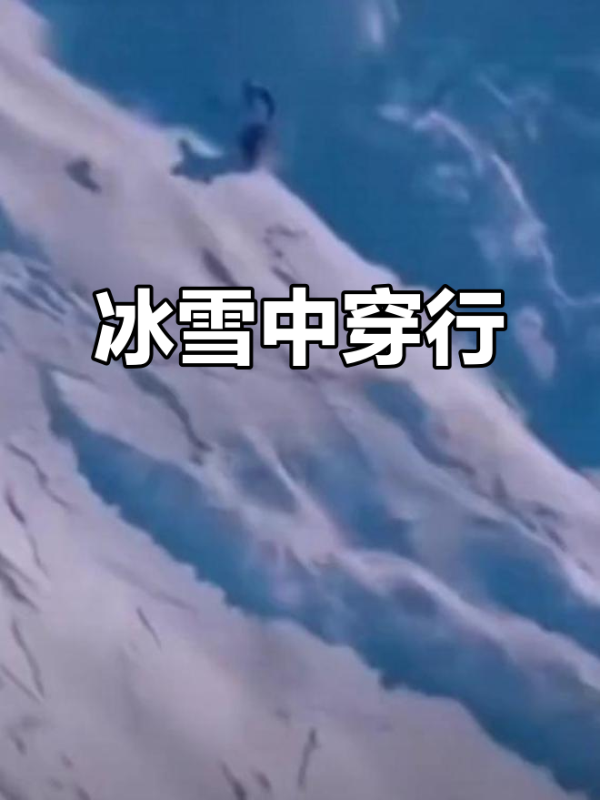 自然探险穿越赛，野外求生挑战极限技巧的简单介绍