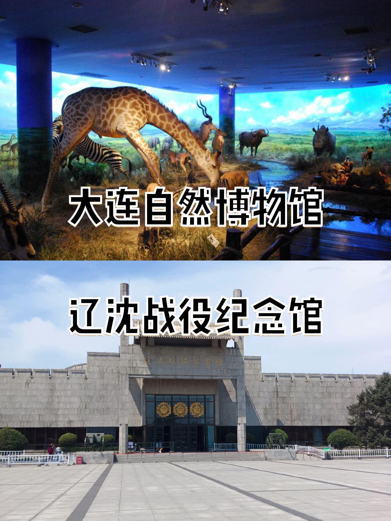 纪念特殊赛事：成立纪念馆或展览的简单介绍