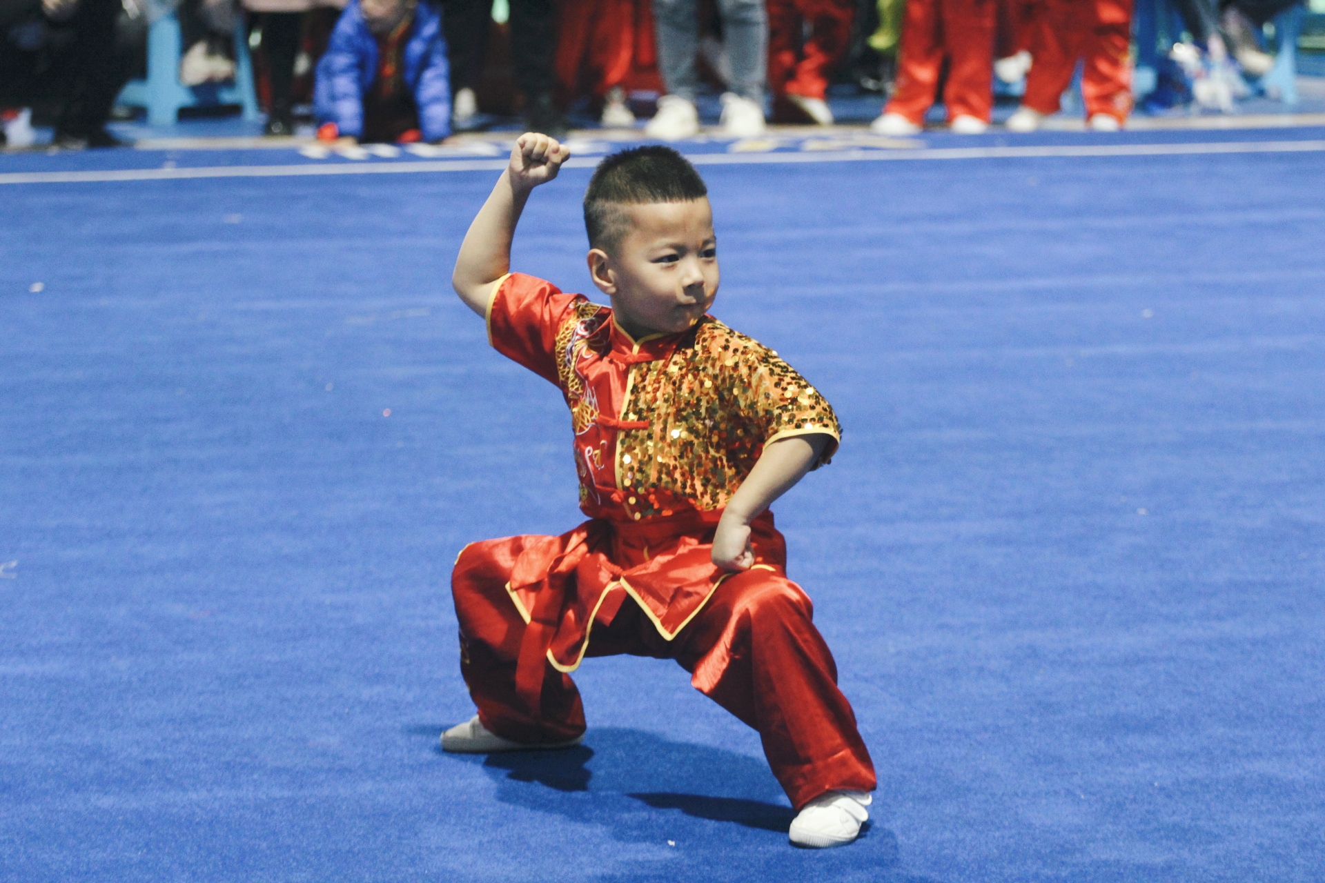 青少年传统武术表演，文化与运动的双重盛宴的简单介绍