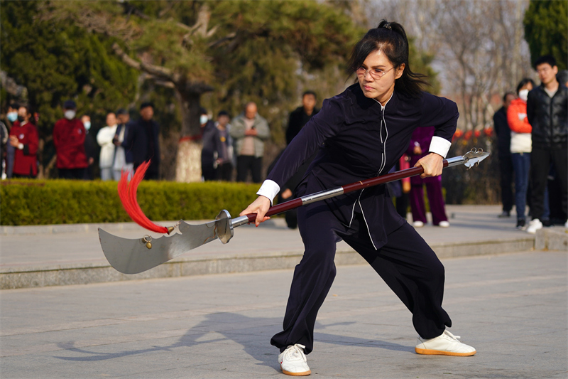 关于传统武术套路表演，文化与运动融合展演的信息