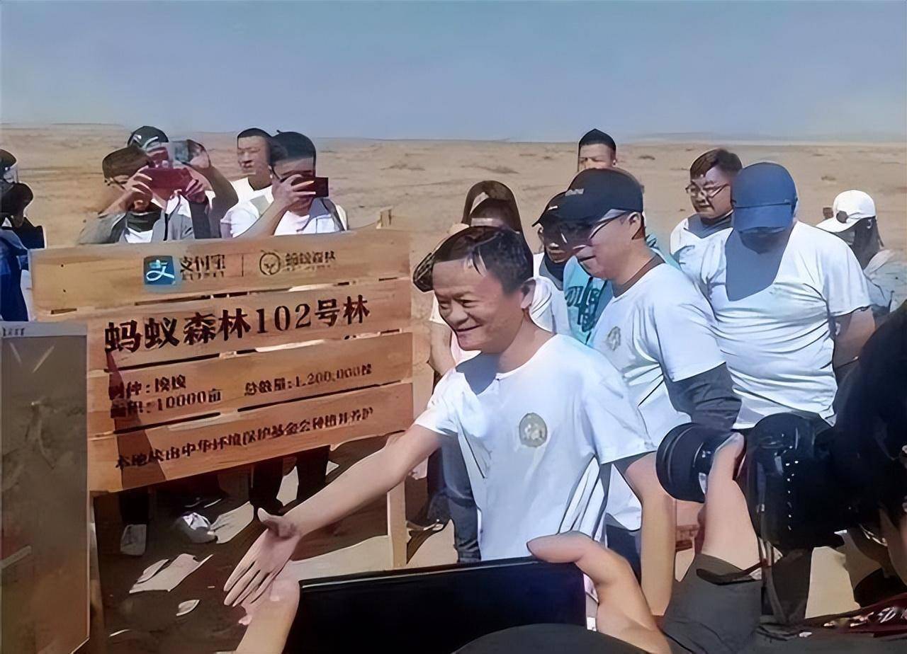 关于穿越荒漠：WRC沙漠赛段的火热激战的信息