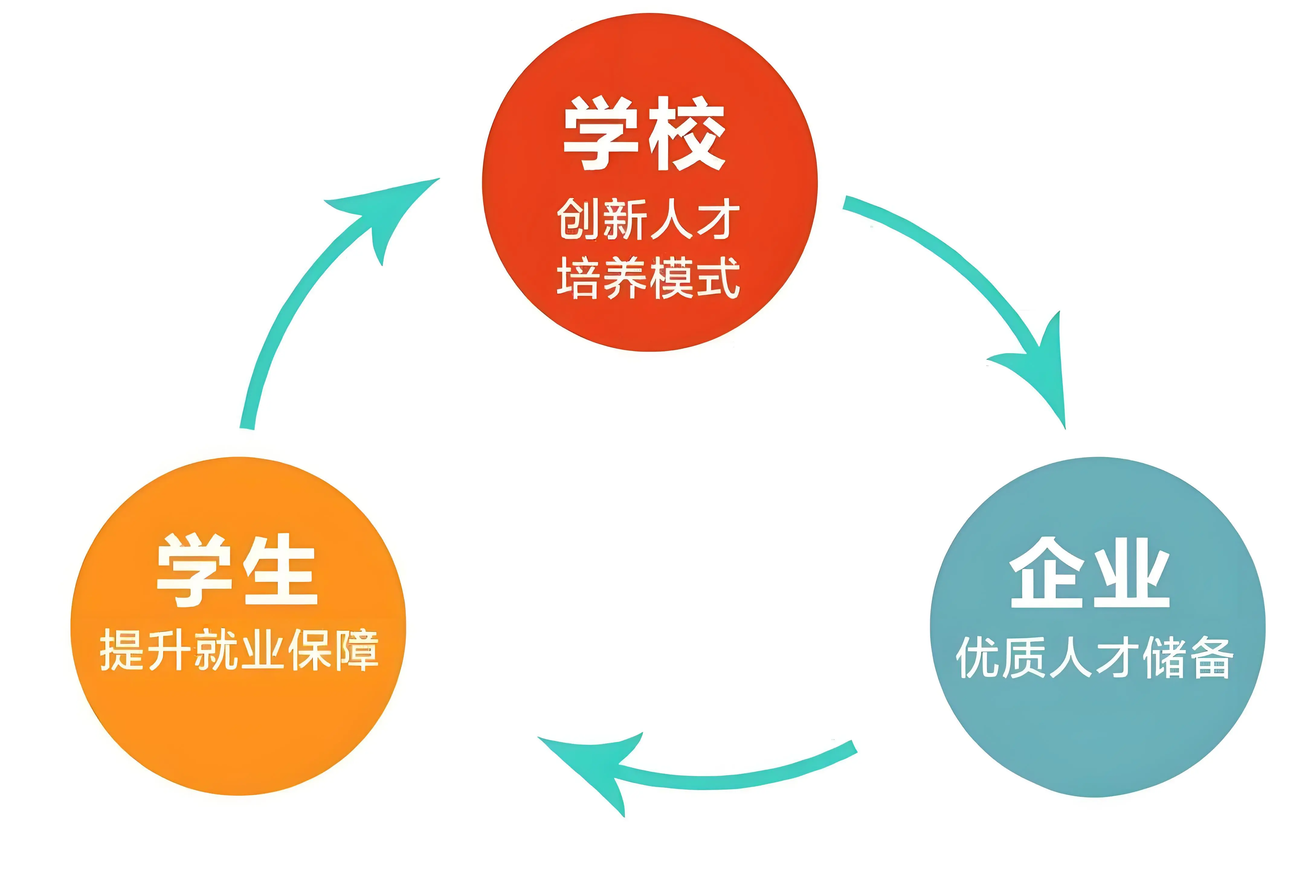 青训“科技+产业”融合创新，行业引领全球新突破的简单介绍