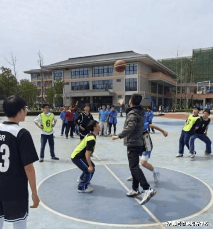 线上线下相结合的青少年篮球赛不断创新，打造全民运动新生态的简单介绍