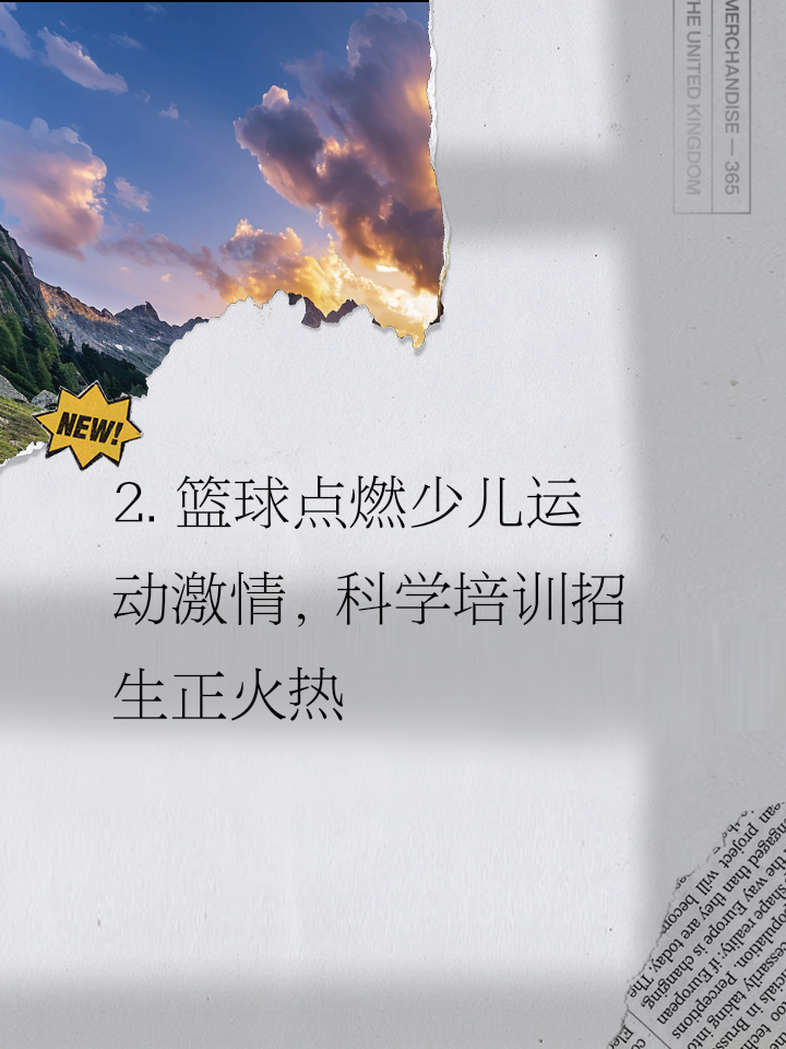 包含青少年篮球人才培养持续深化，行业创新能力不断提升的词条