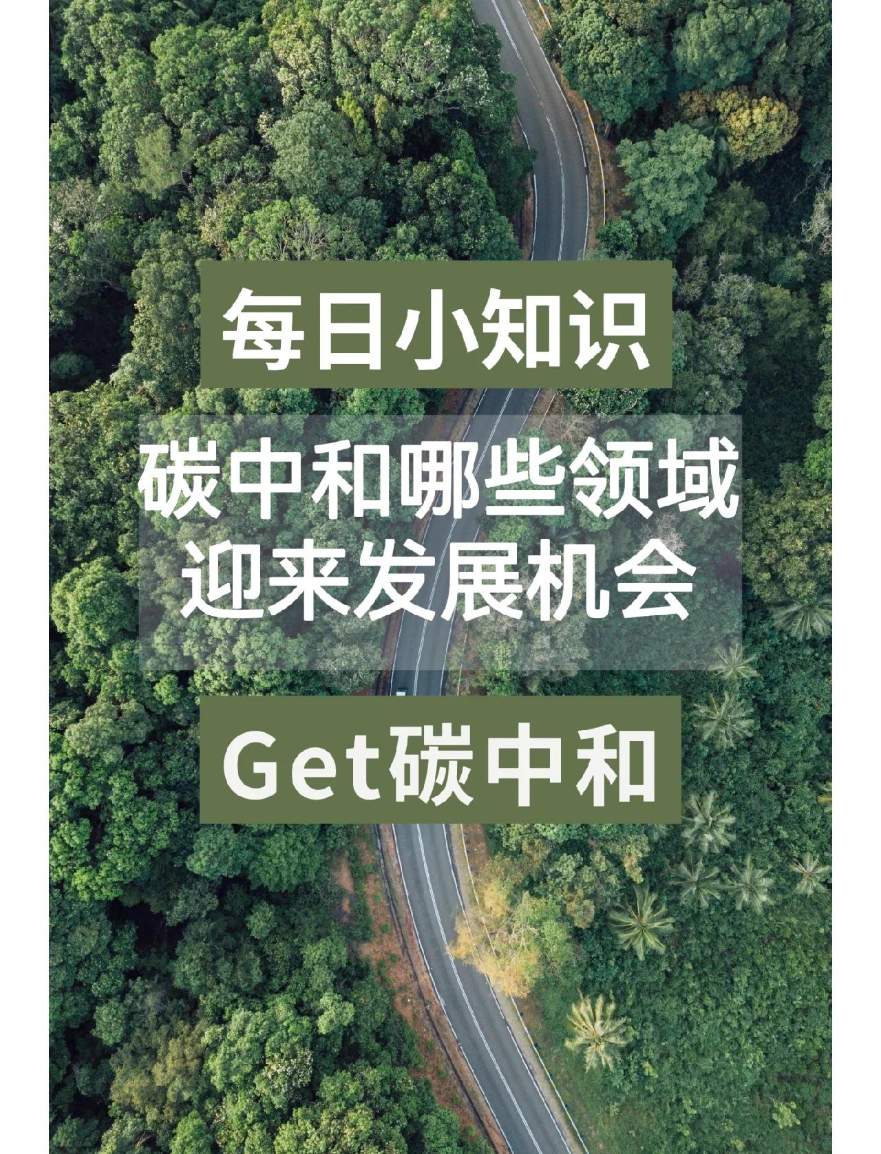赛车行业的碳中和目标的简单介绍