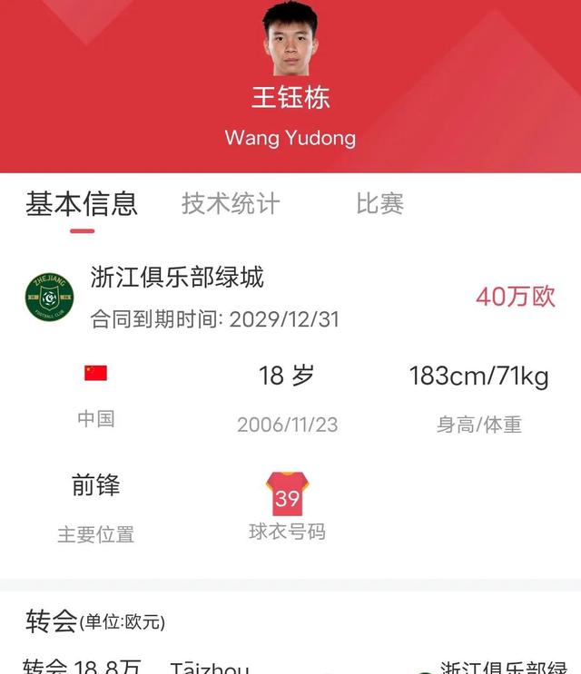 关于史上最年轻的“冠军得主”揭秘，未来之星崭露头角的信息
