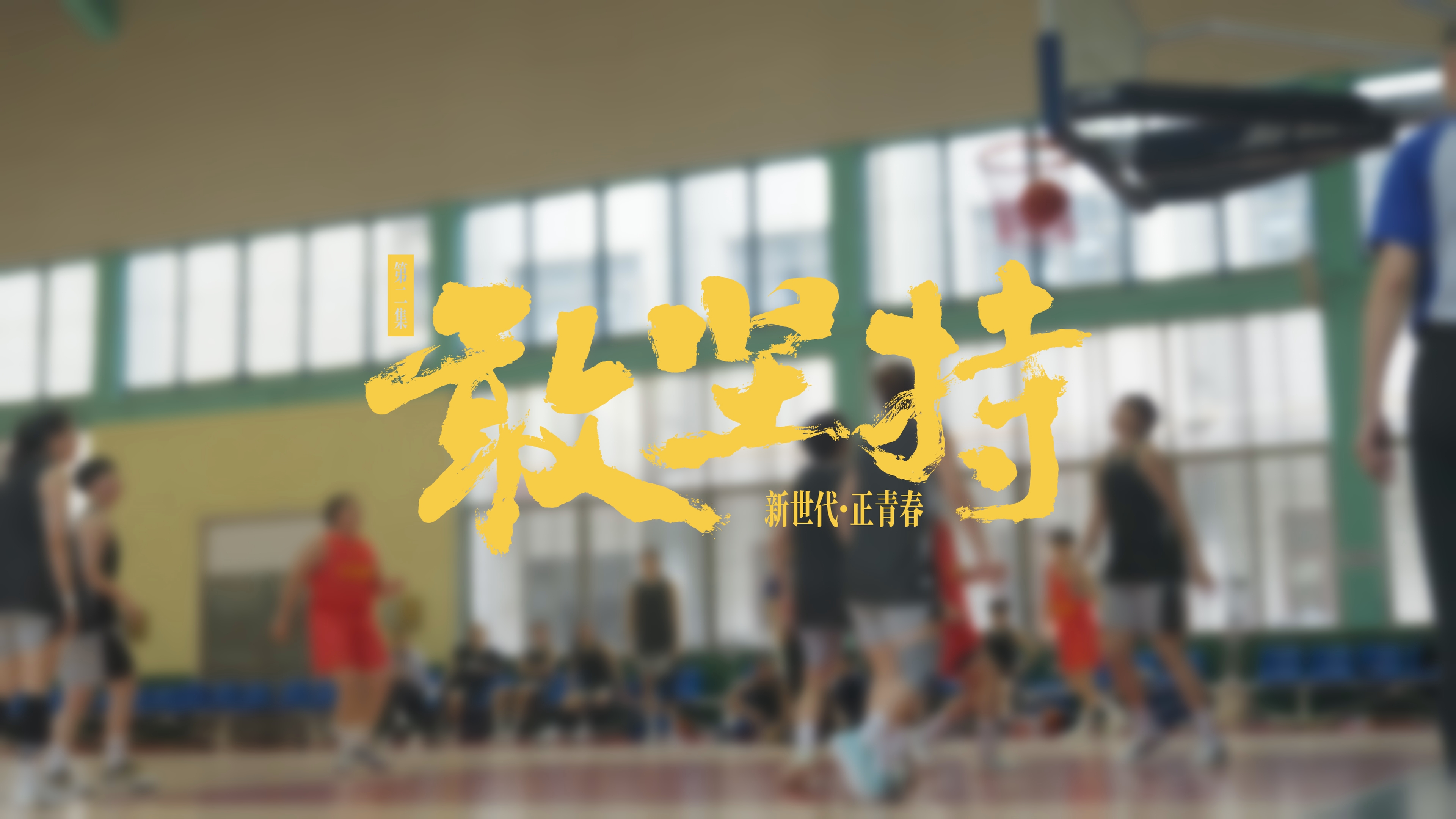 宣传中国篮球文化，国家级纪录片火热播出的简单介绍