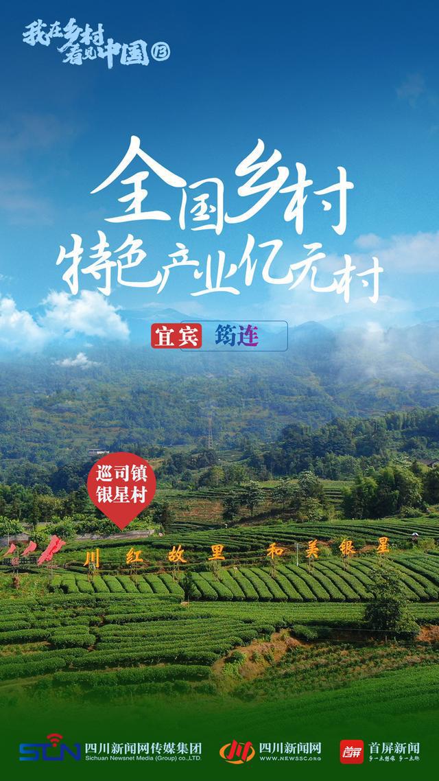关于特色乡村篮球场建设逐步推广，推动乡村振兴战略的信息
