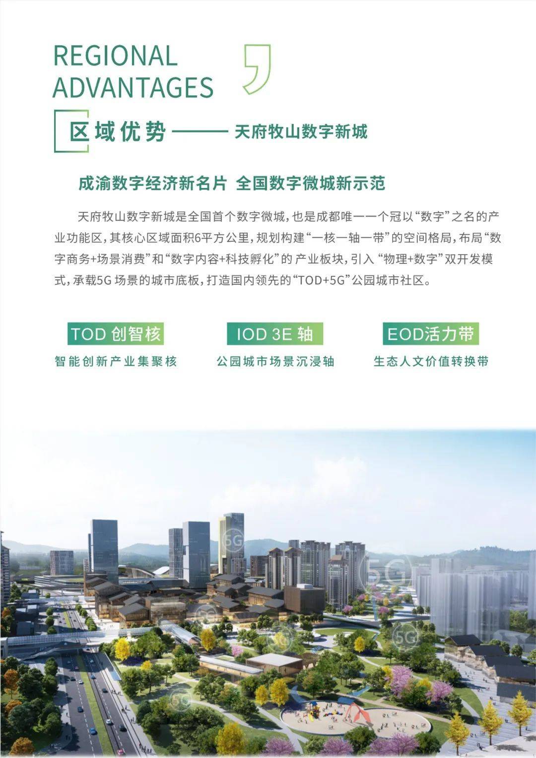 数字经济助推特色篮球产业链升级，打造国家体育新名片的简单介绍